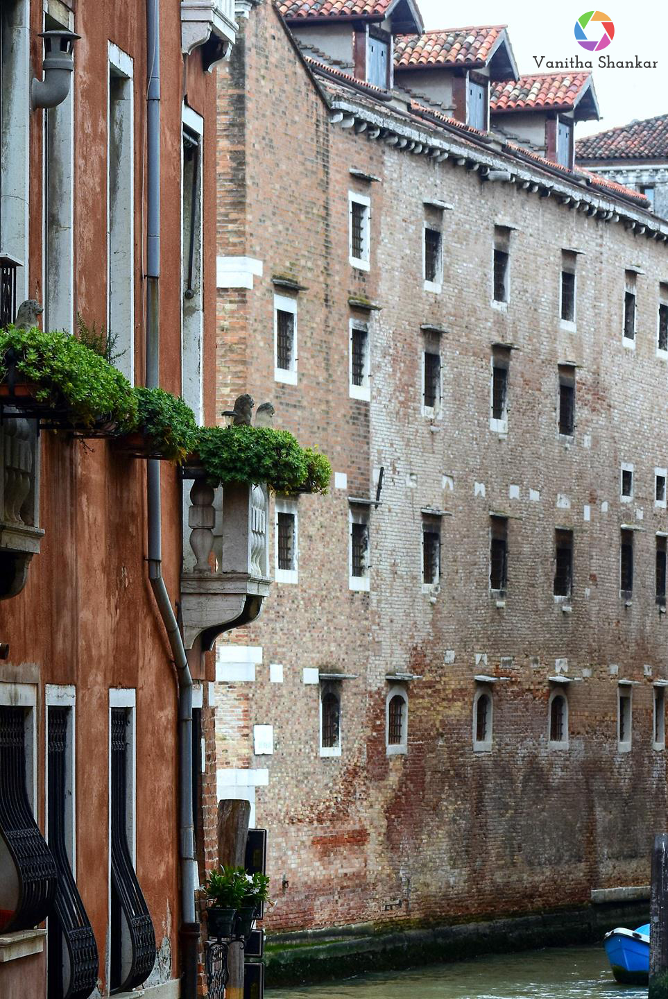 Street setting – Cream shades on rust canvas